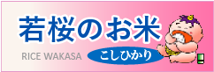 若桜のお米